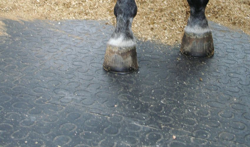 Qualitative Stallmatten, Pferdematten, Boxenmatten  von Belmondo