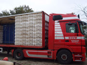 0000118_geflugeltransportkiste