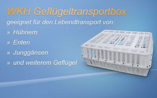 0000119_geflugeltransportkiste