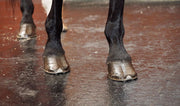 BELMONDO_Classic_Box_Galerie1