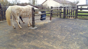Gummimatte-Stallmatte-Granulatmatte-Bild1nhRQqJldN6p1f